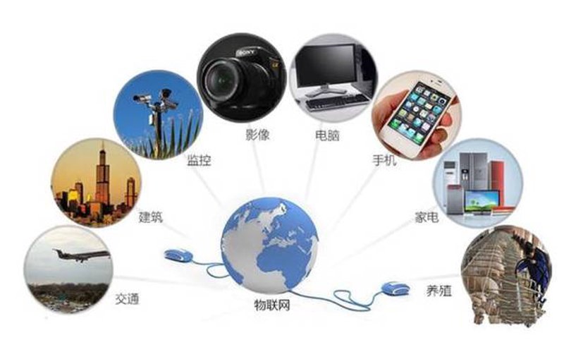 APP开发：构建你的数字帝国